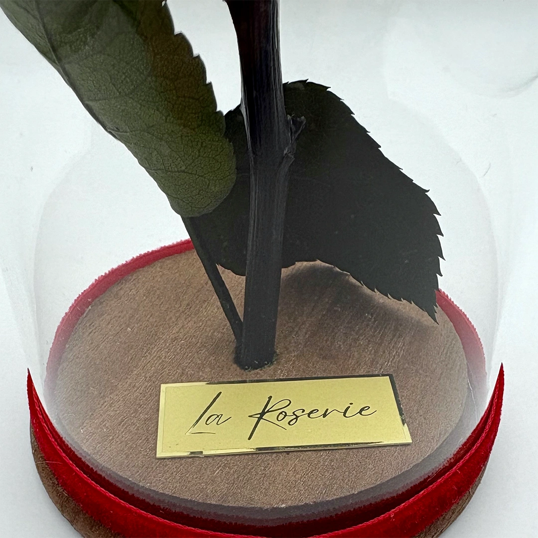 la roserie vörös örökrózsa üvegben mini