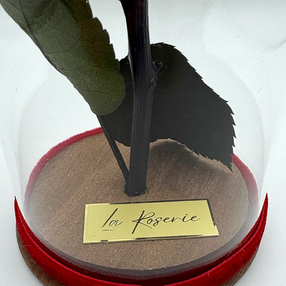 la roserie vörös örökrózsa üvegben mini