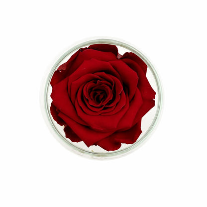 örökrózsa üvegben