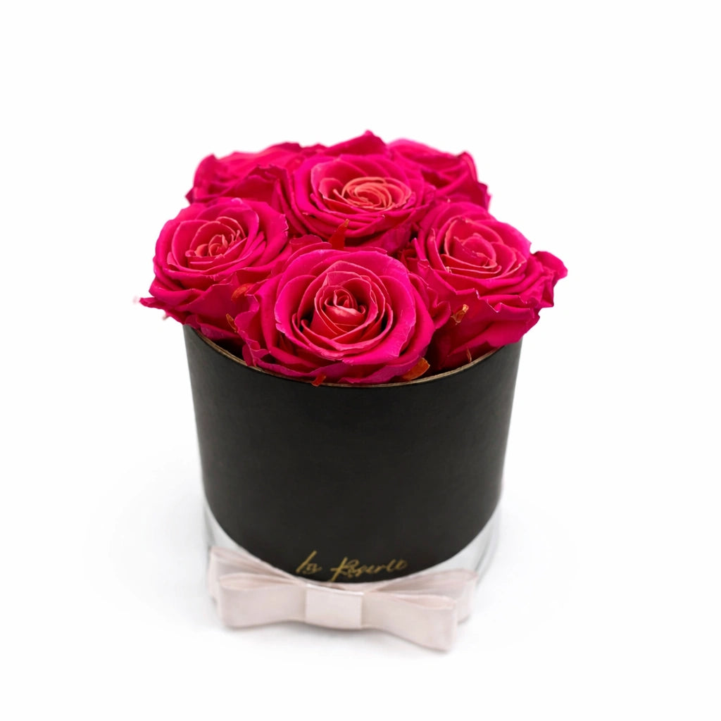 pink örökrózsa box