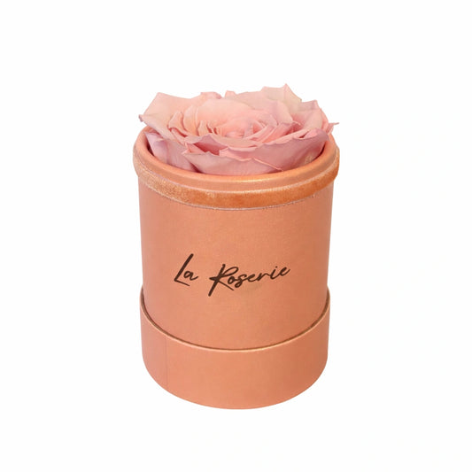 rózsaszín örök rózsa