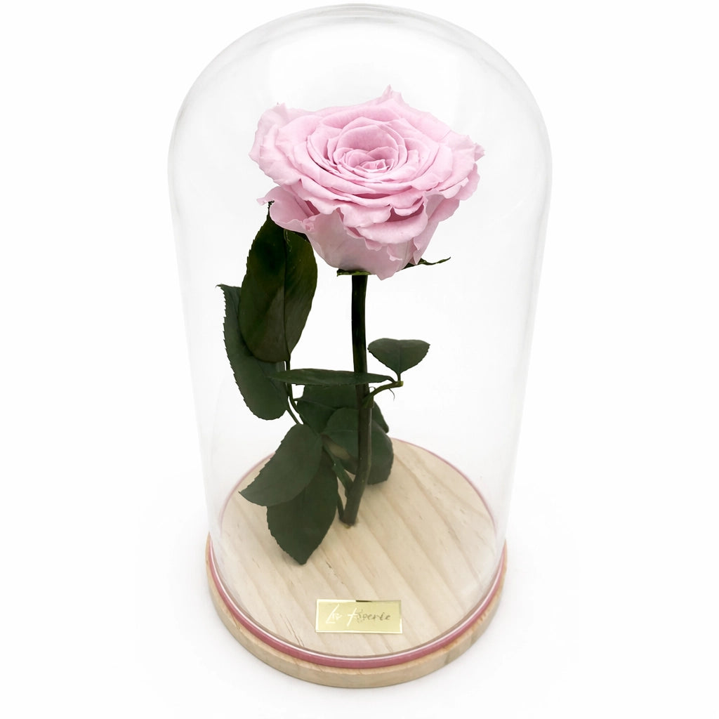 rózsaszín örökrózsa üvegben