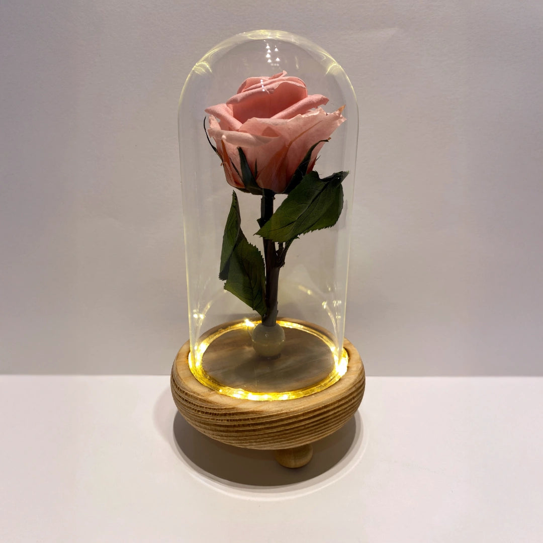 rózsaszínű örök rózsa