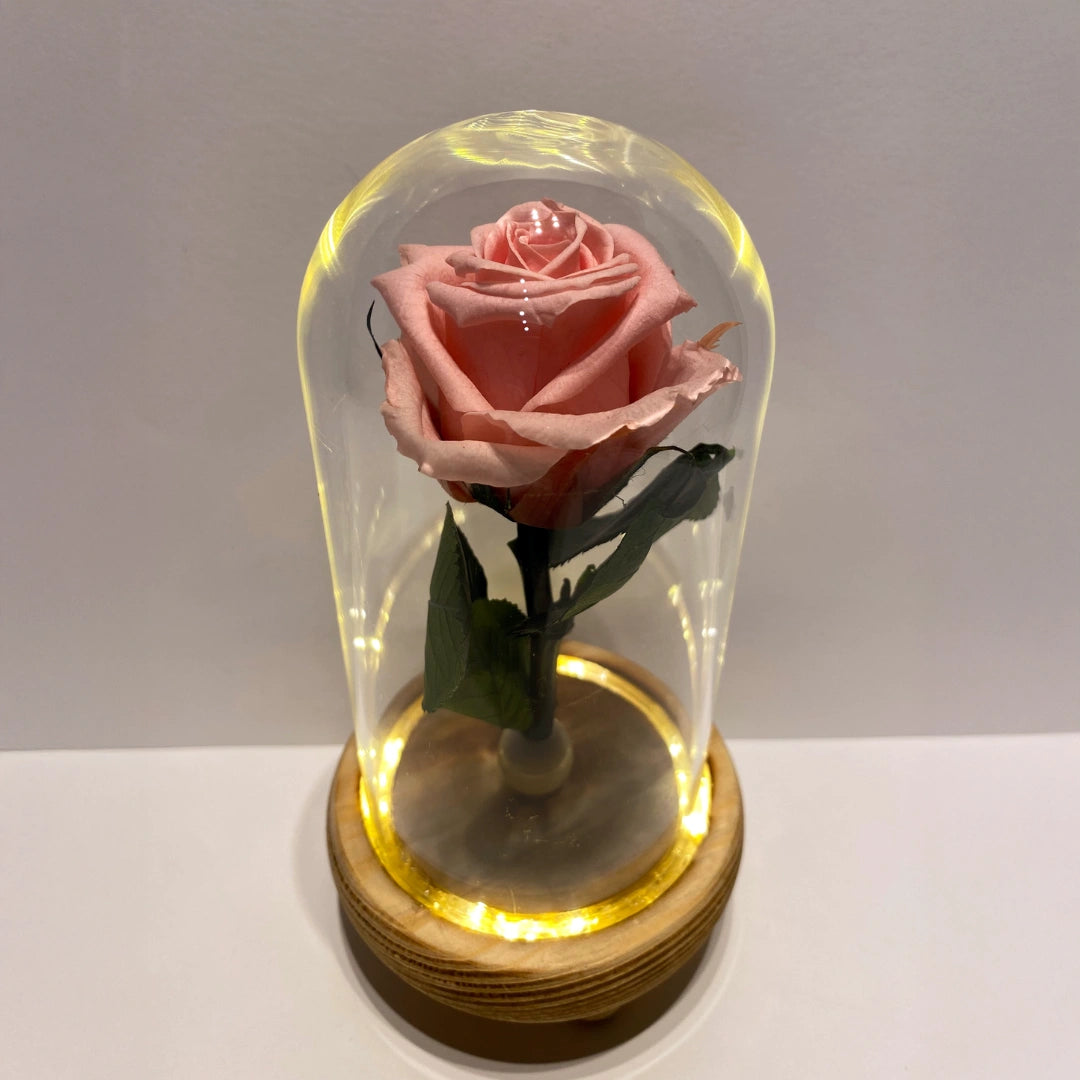 rózsaszín örökrózsa üvegben