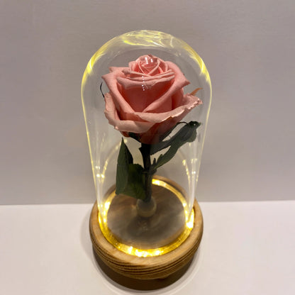 rózsaszín örökrózsa üvegben