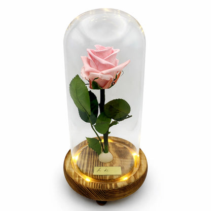 rózsaszín örökrózsa üvegben