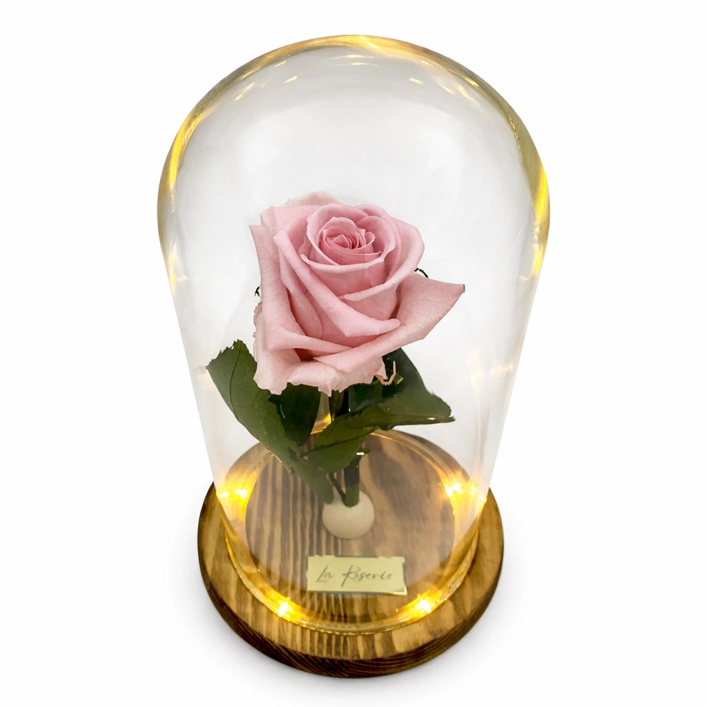 rózsaszín örökrózsa üvegbuában, M-es fejméretű rózsa
