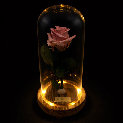 rózsaszín örökrózsa burában LED világítással