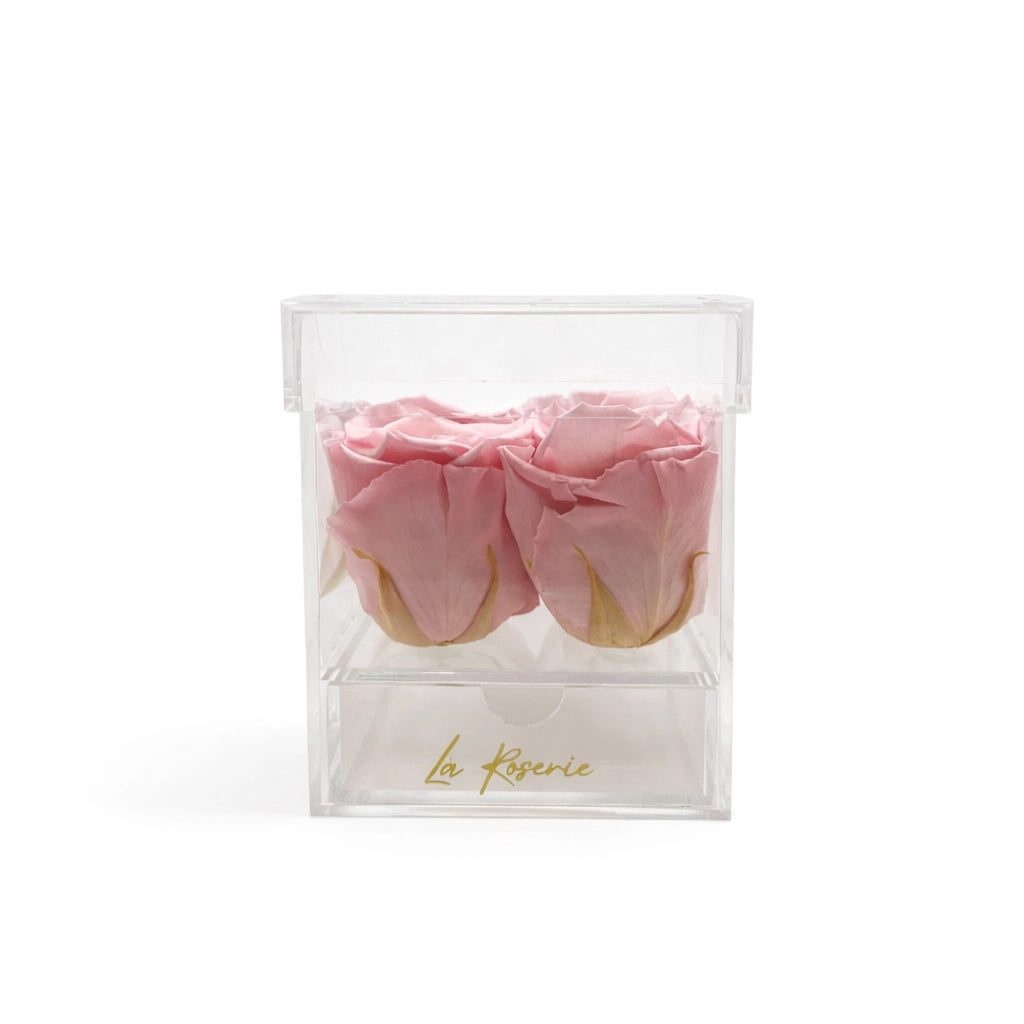 rózsaszín örökrózsák