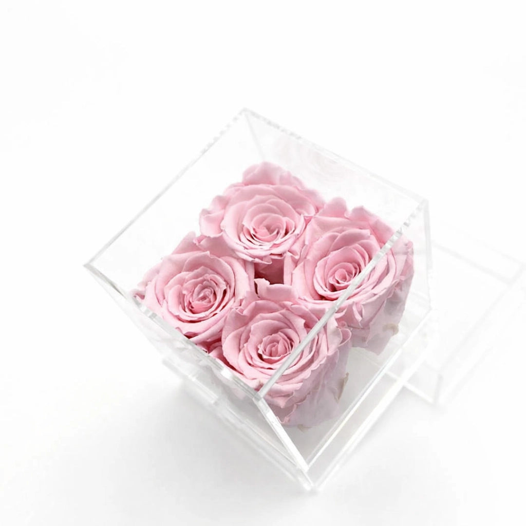 rózsaszín örök rózsa