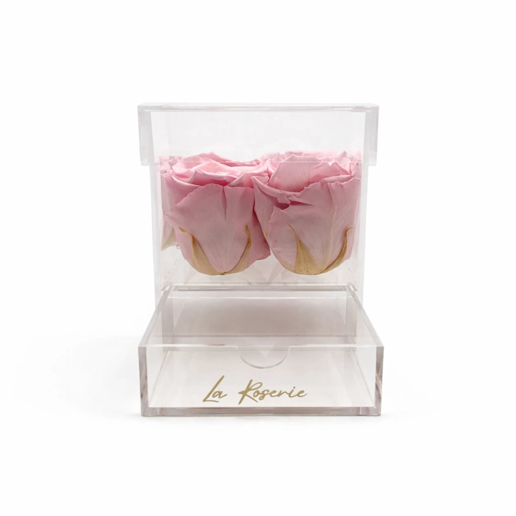 rózsaszín örökrózsák