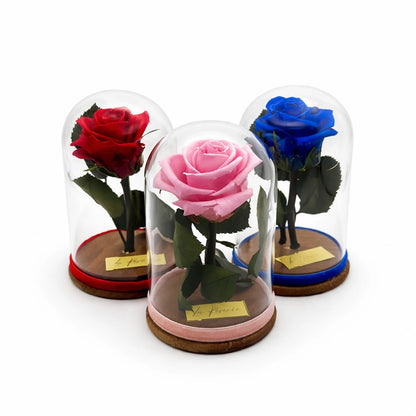 s-es mini örökrózsák üvegben