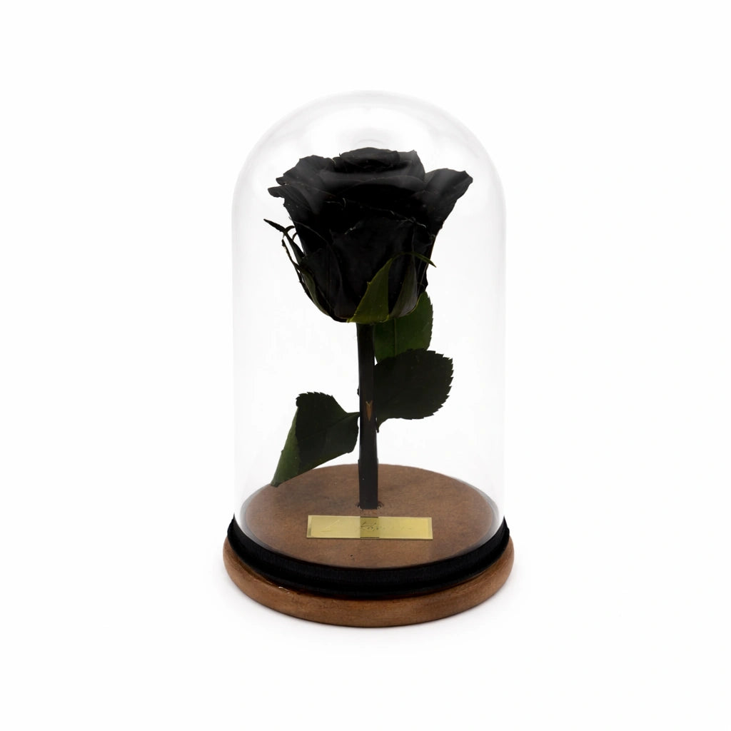 fekete örökrózsa üvegben