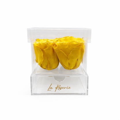 sárga örök rózsa