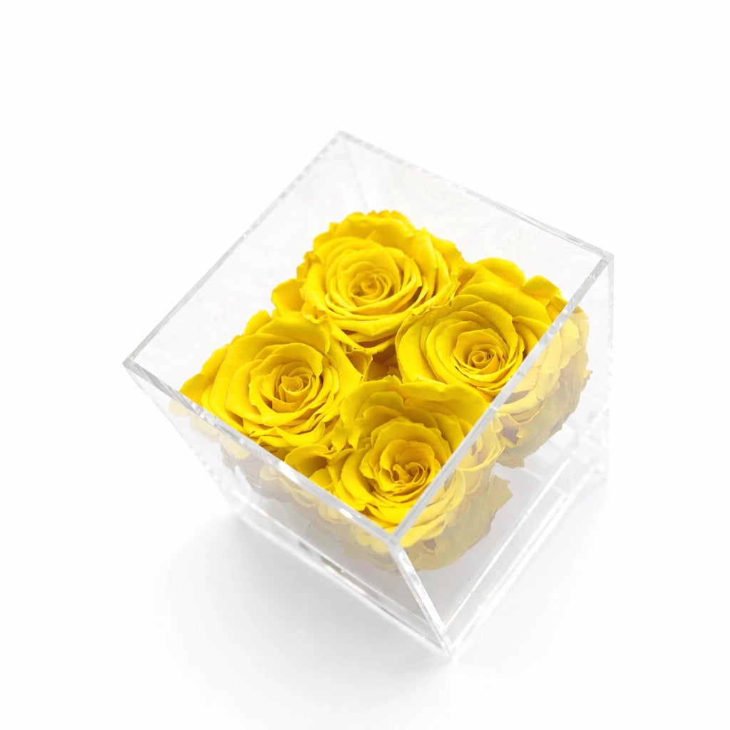 sárga örök rózsa