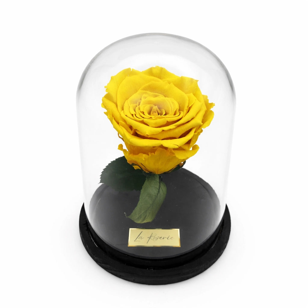 szálas sárga örök rózsa üvegben