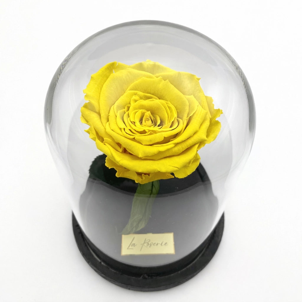 szálas sárga örök rózsa üvegben