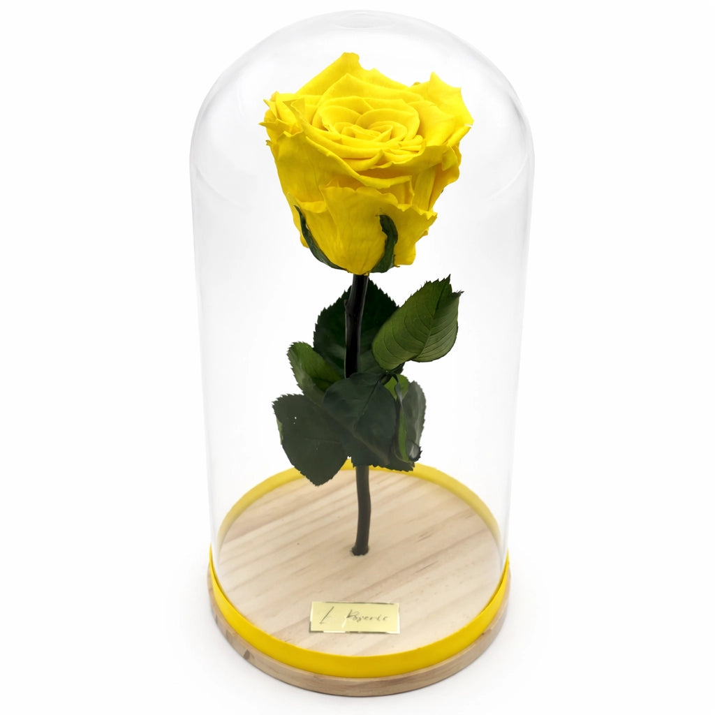 sárga örök rózsa üvegburában