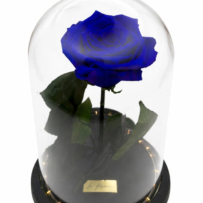 kék tartósított rózsa 