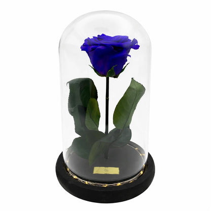 kék örökrózsa üvegben