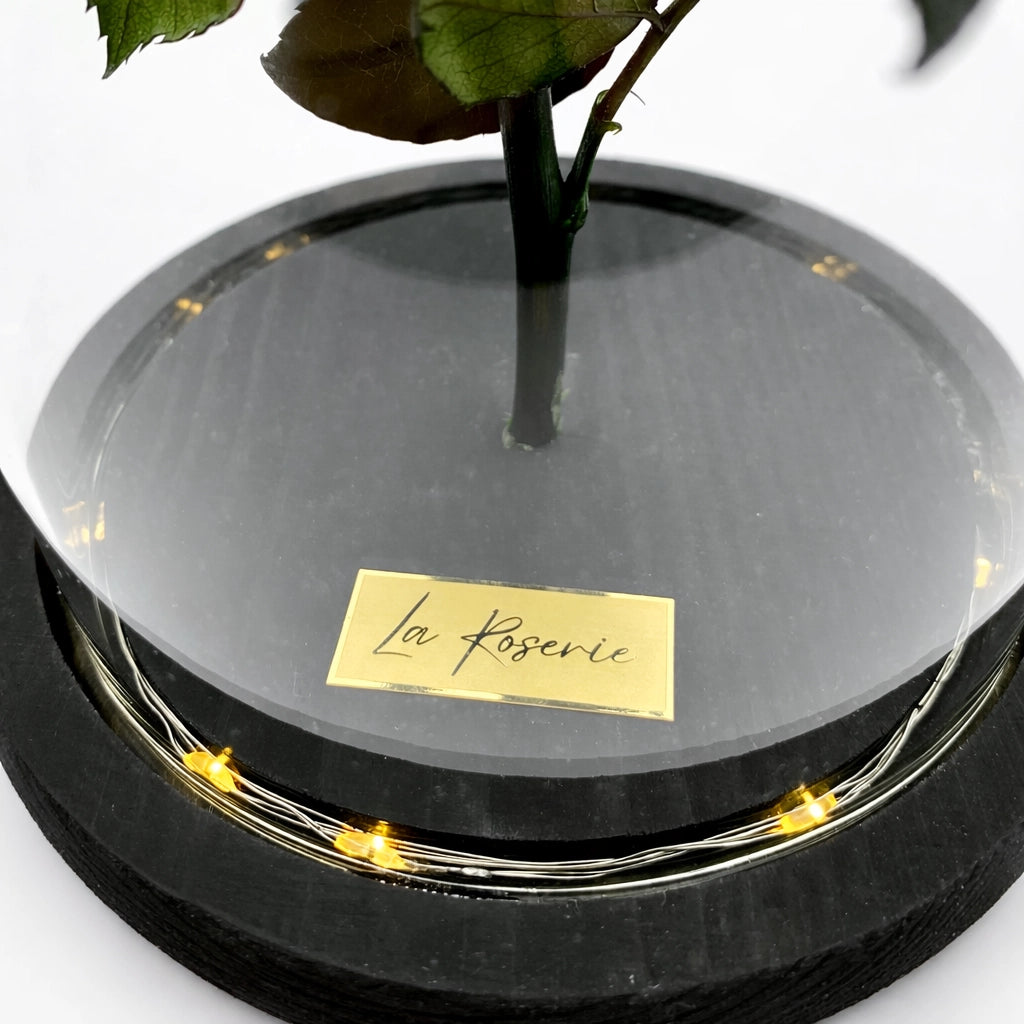 La Roserie üvegbúrás örökrózsa