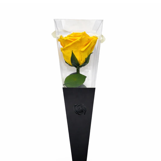 sárga örökrózsa szálas