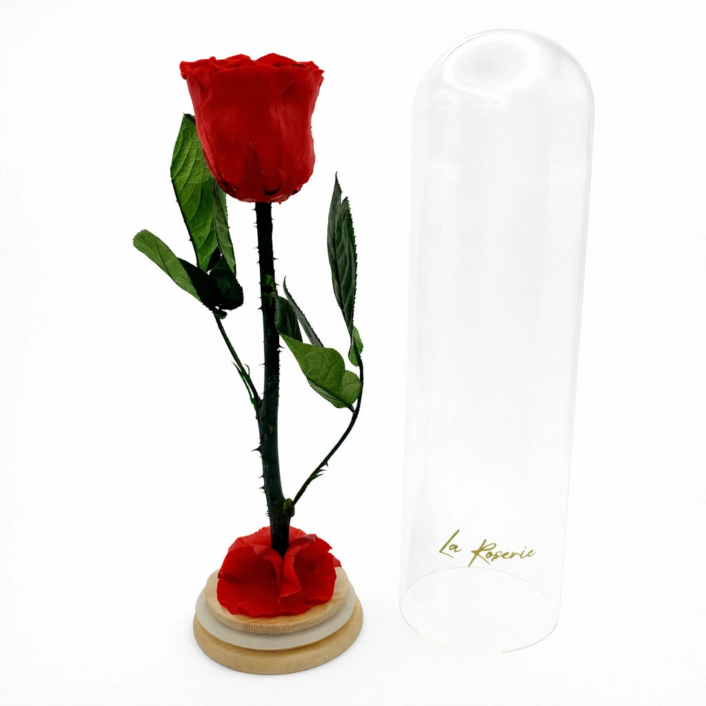 örökrózsa üvegbúrában