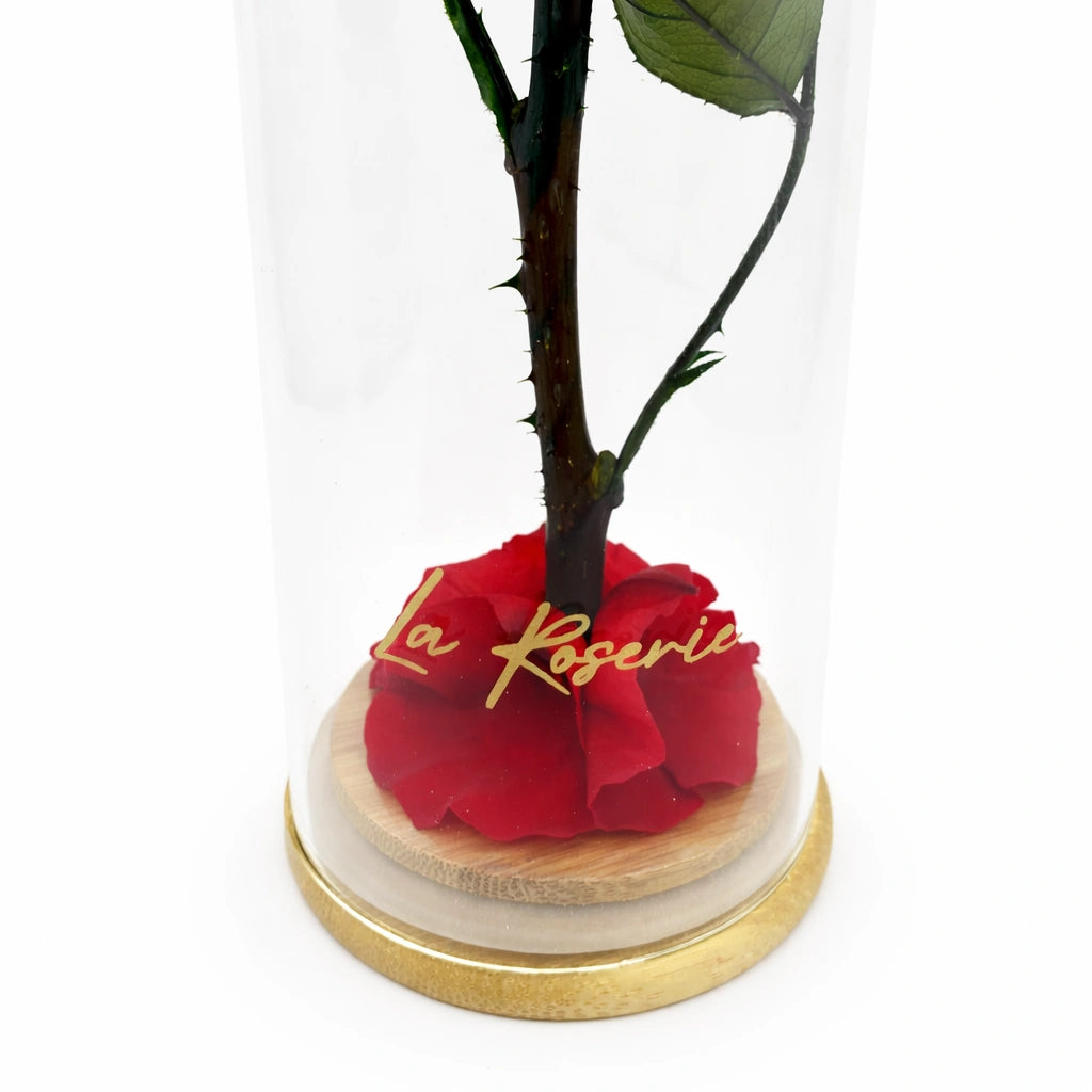 örökrózsa üvegbúrában