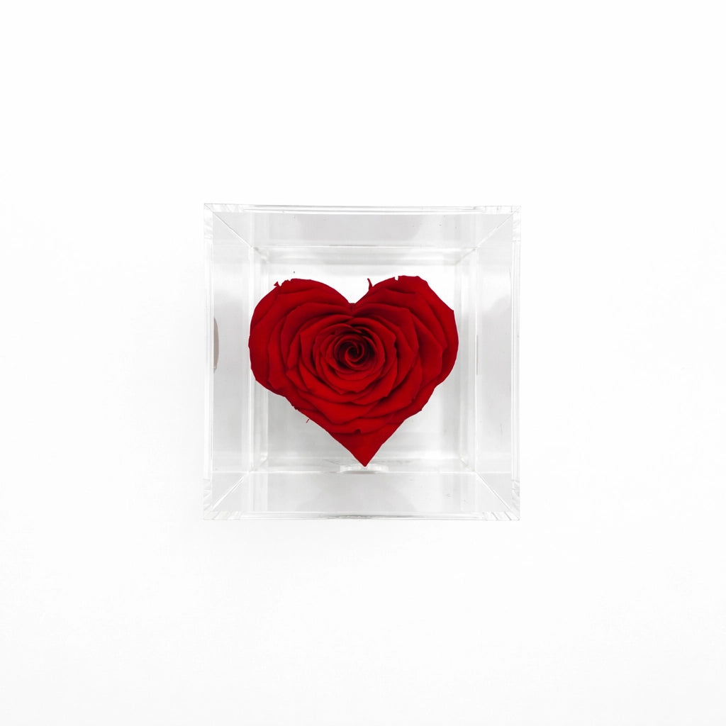 szív alakú örök rózsa