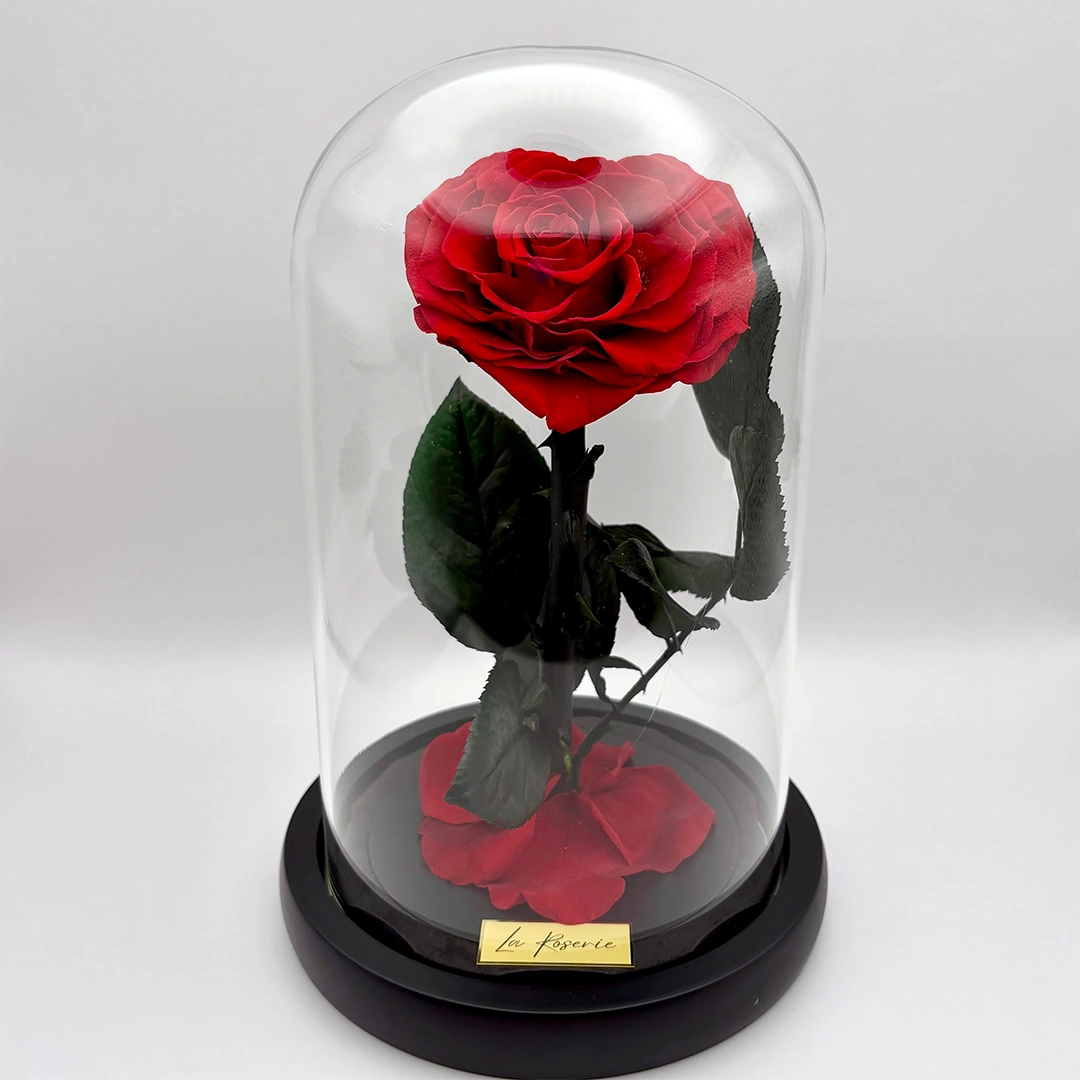 szív alakú örökrózsa üvegben