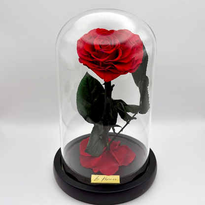 szív alakú örökrózsa üvegben
