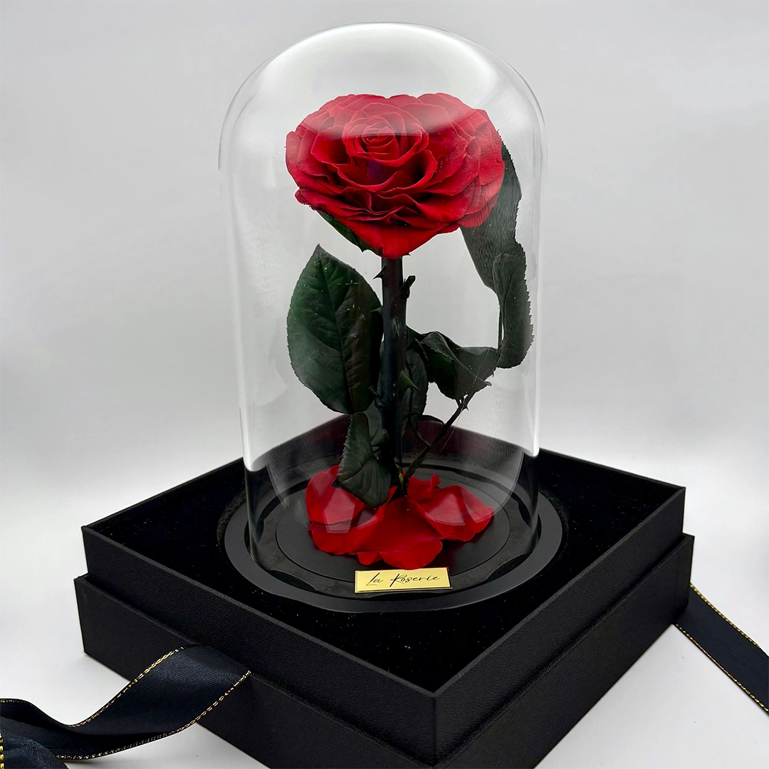 szív alakú örökrózsa üvegben