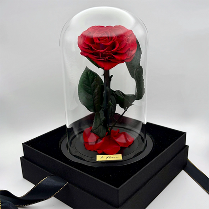 szív alakú örökrózsa üvegben