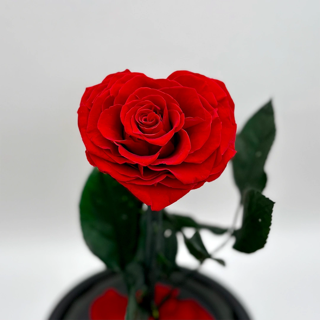 szív alakú örökrózsa üvegben