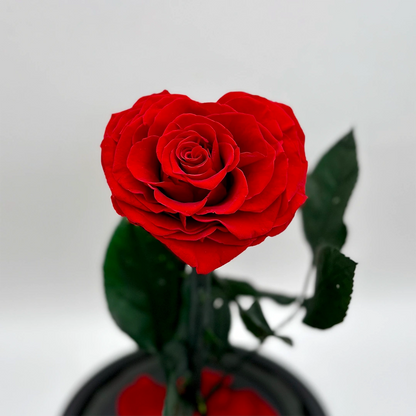 szív alakú örökrózsa üvegben