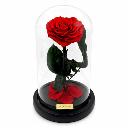 szív alakú örökrózsa üvegben