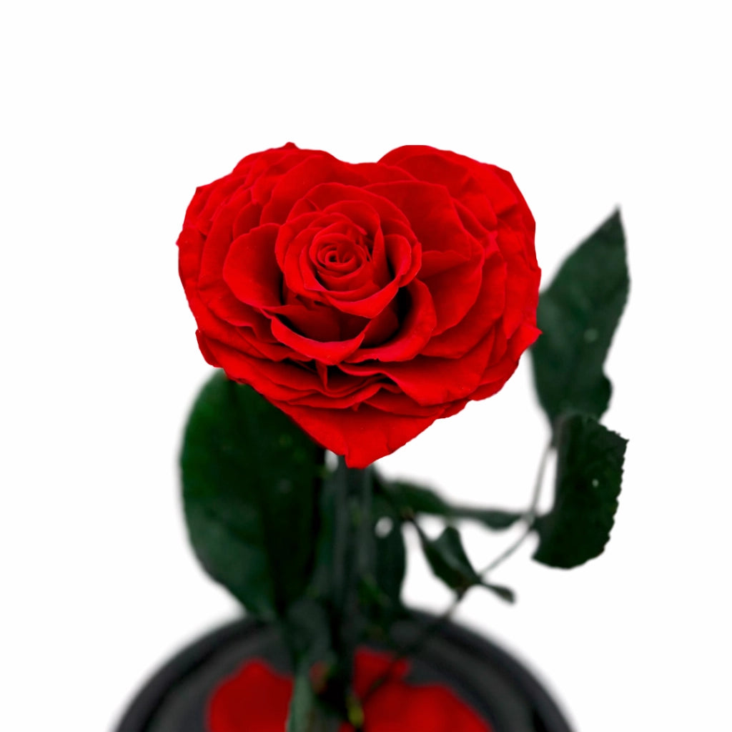 szív alakú örökrózsa üvegben