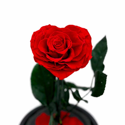 szív alakú örökrózsa üvegben