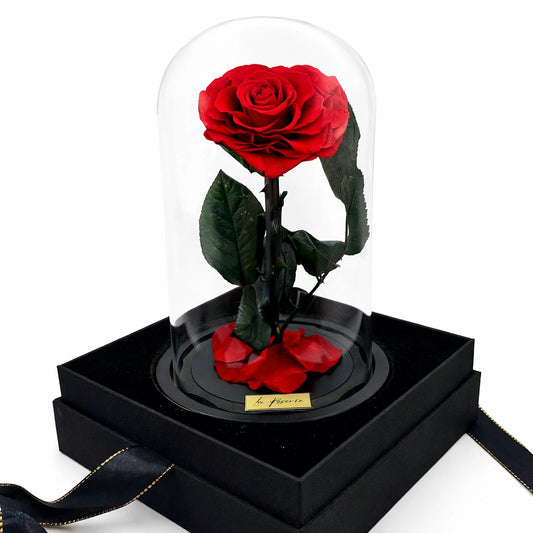 szív alakú örökrózsa üvegben