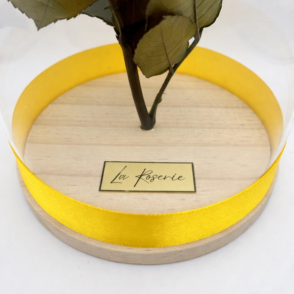 La Roserie szivárvány örök rózsa