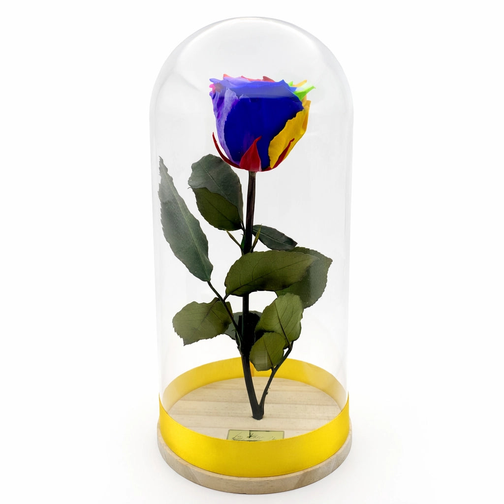 sokszínű szivárvány örökrózsa üvegburában