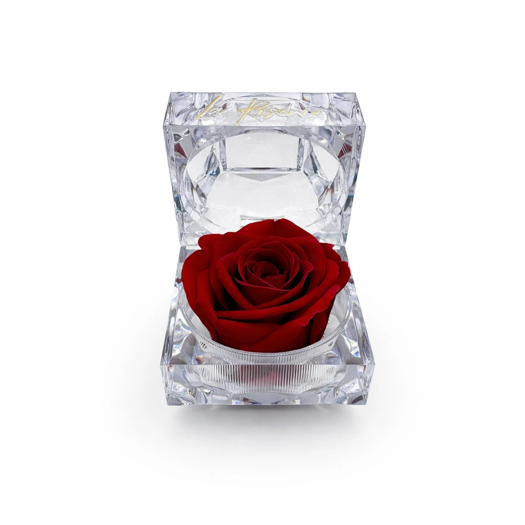 illatos örökrózsa