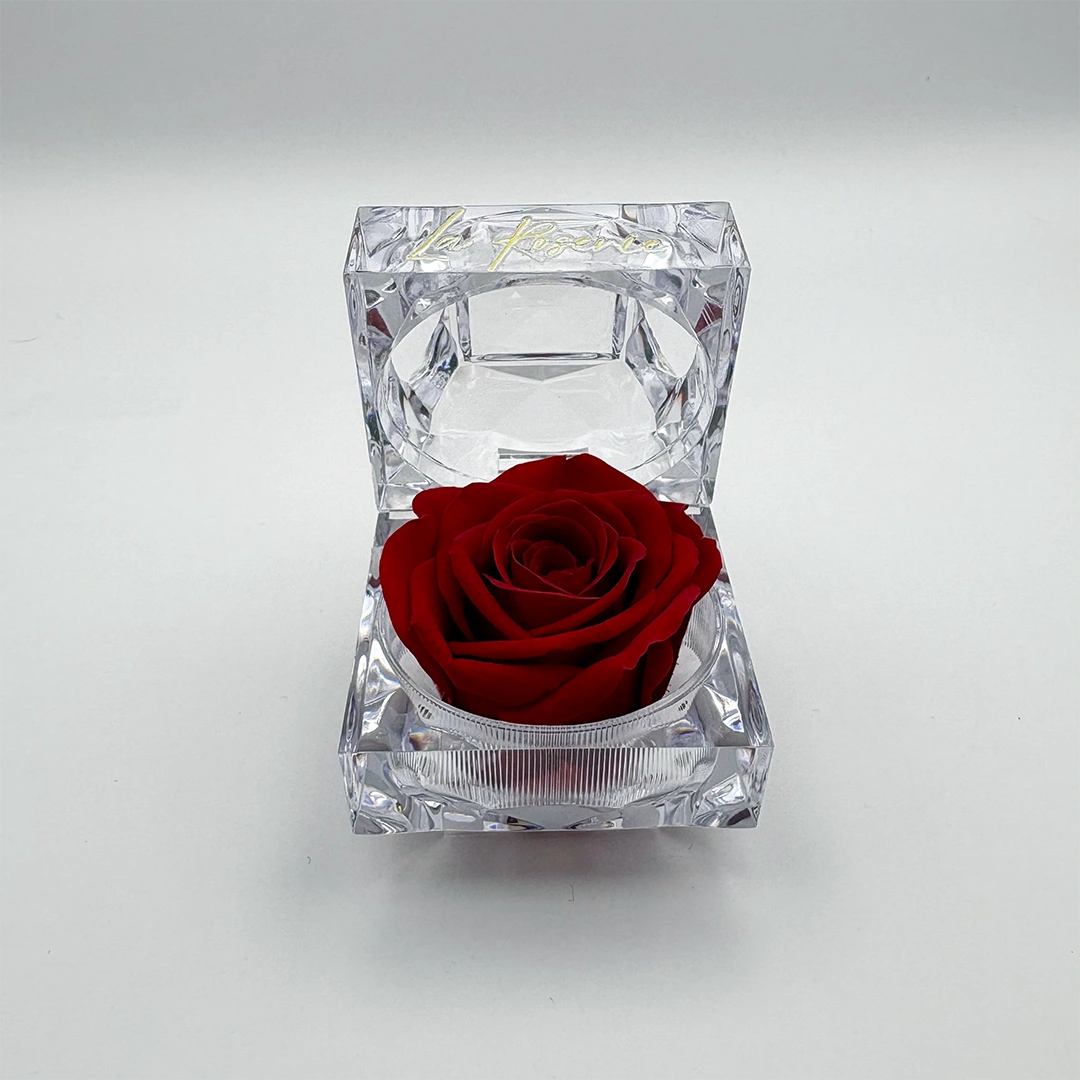 illatos örökrózsa