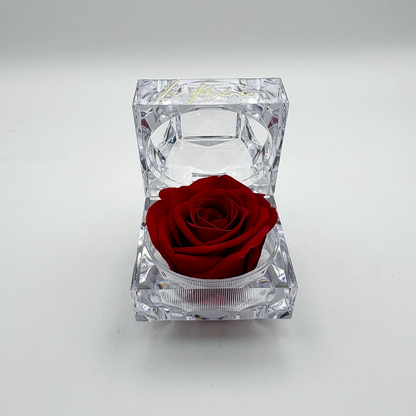 illatos örökrózsa