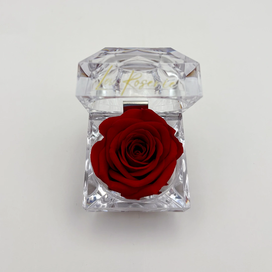 illatos örökrózsa