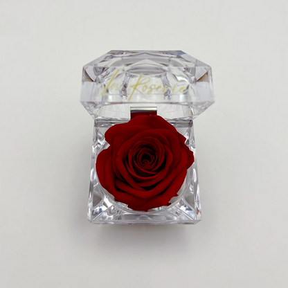 illatos örökrózsa