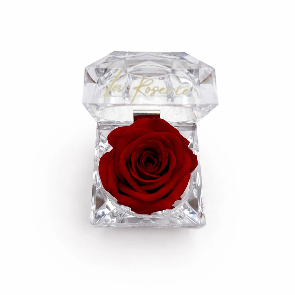 illatos örökrózsa