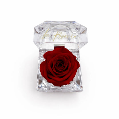 illatos örökrózsa