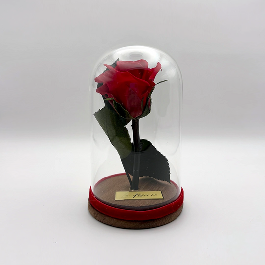 vörös örökrózsa üvegben mini