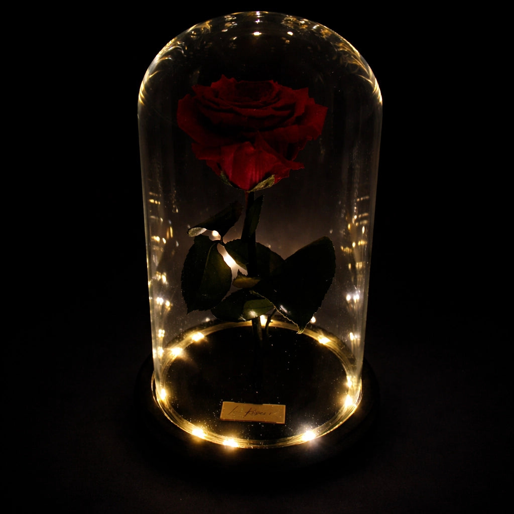 örökrózsa üvegbúrában, LED világítással